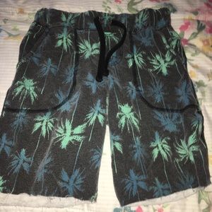 Palm tree short for kids